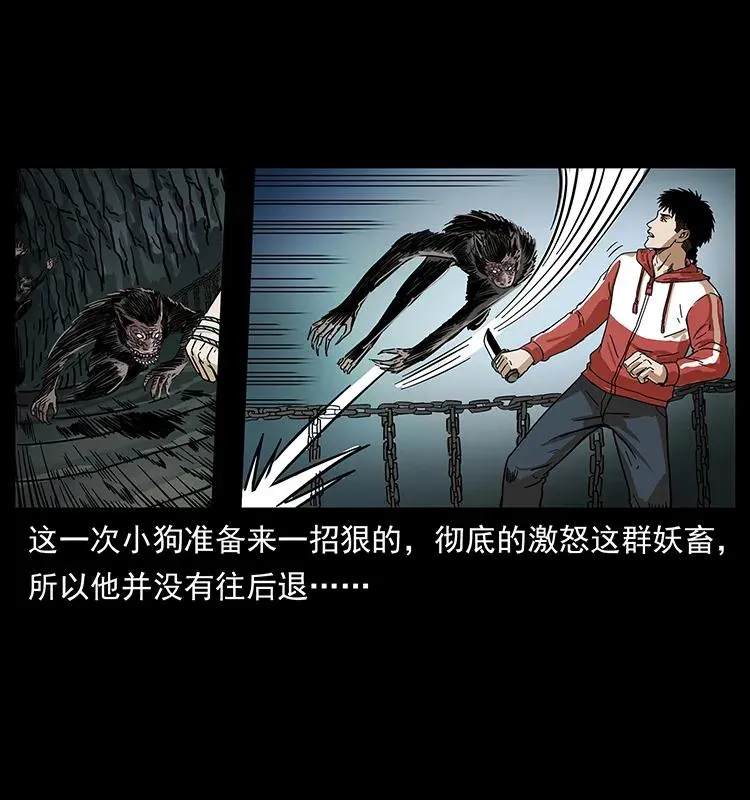213 入皇陵 第66页