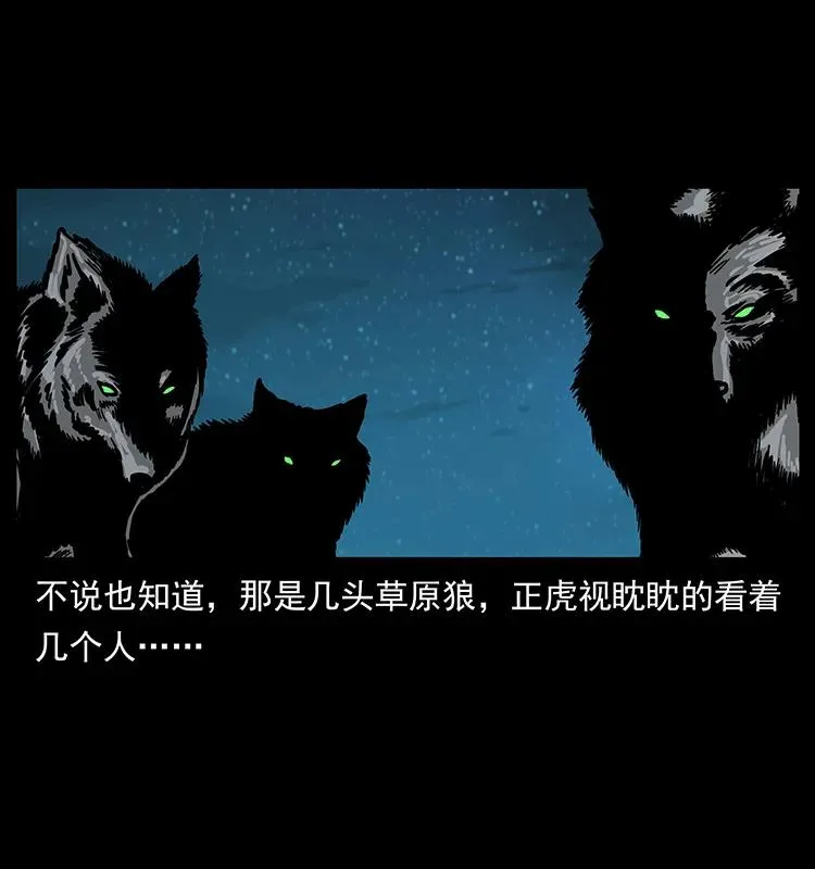 212 草原深处 第12页