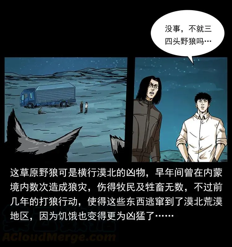 212 草原深处 第13页