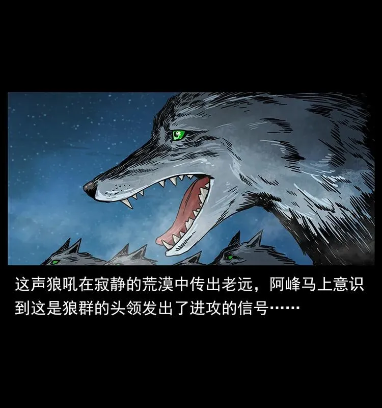 212 草原深处 第23页