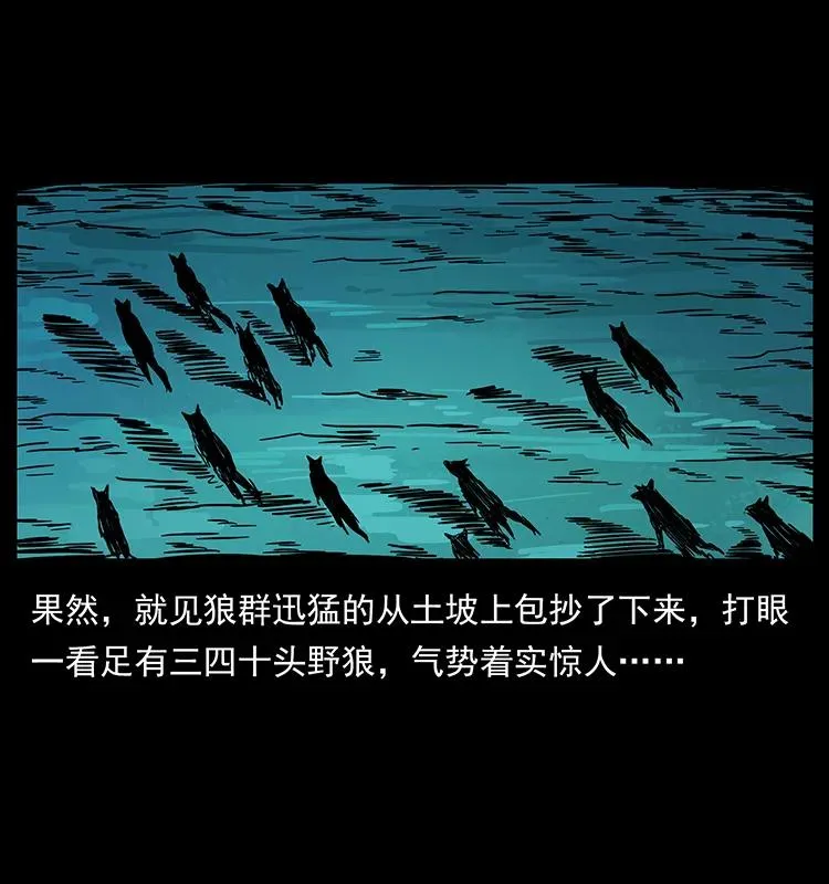 212 草原深处 第24页