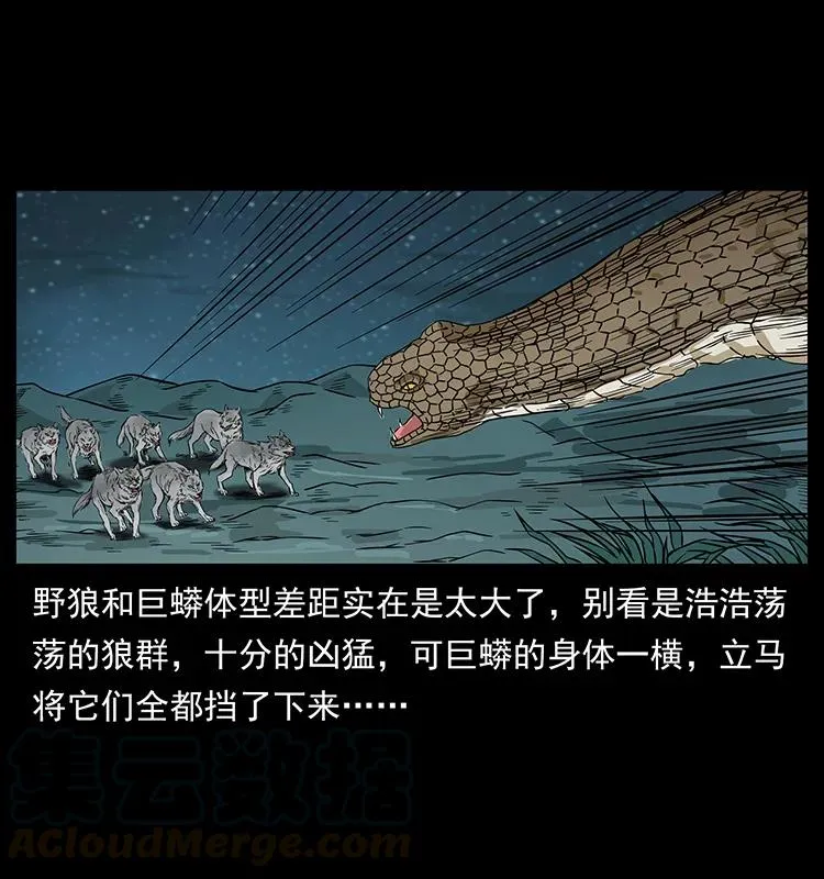 212 草原深处 第37页