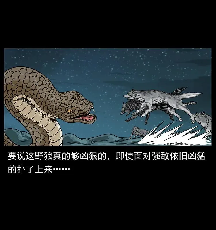 212 草原深处 第38页