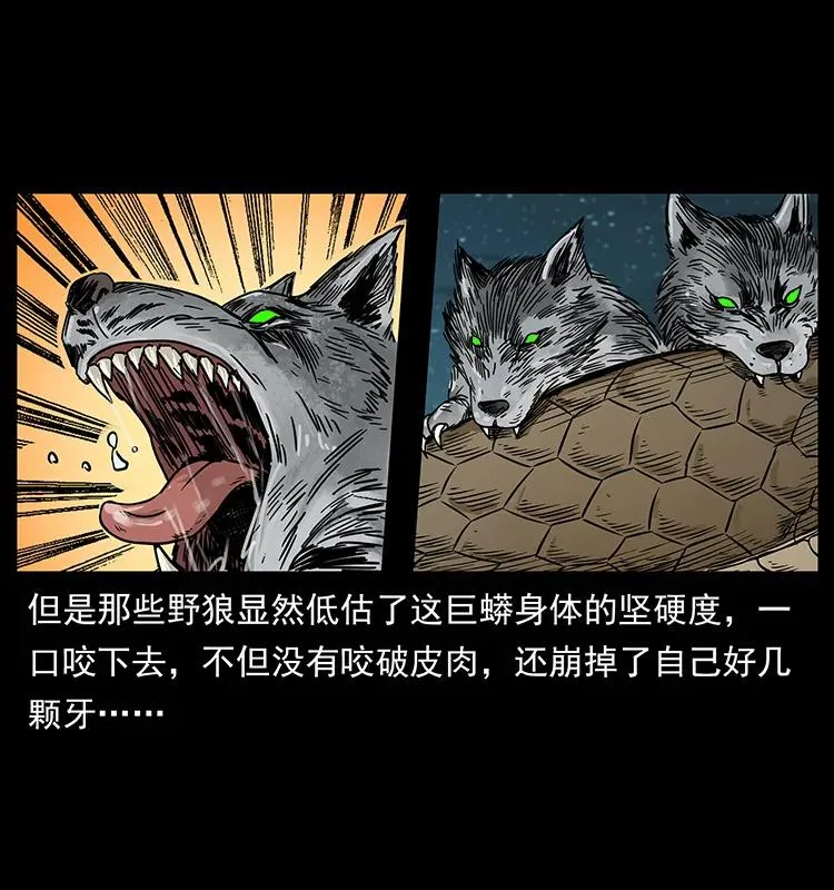 212 草原深处 第39页