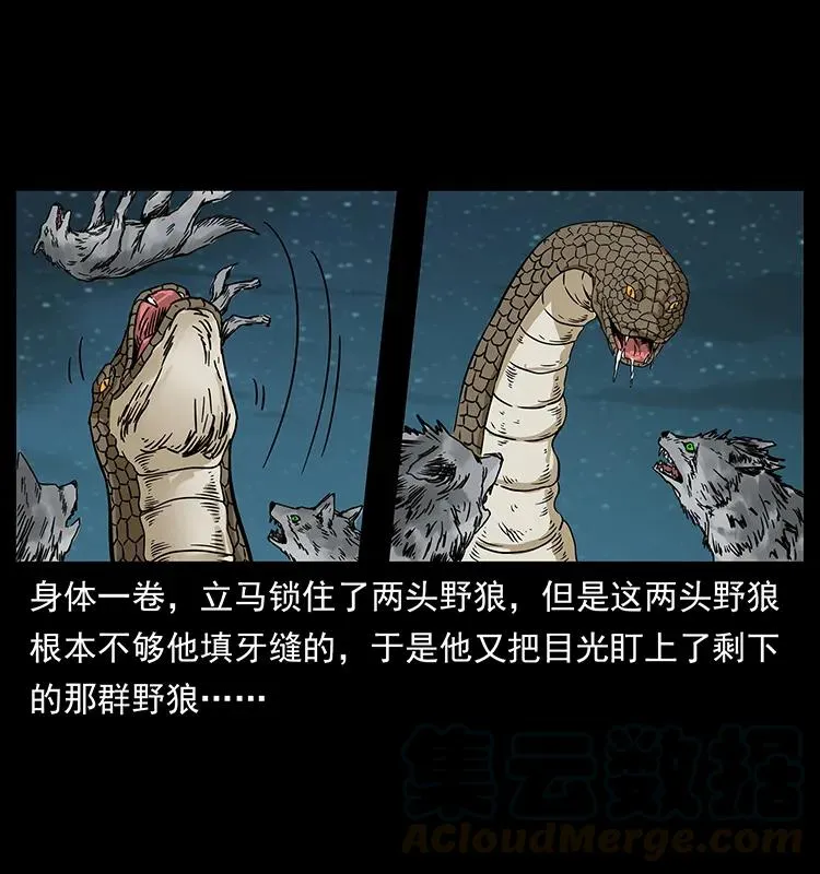 212 草原深处 第41页