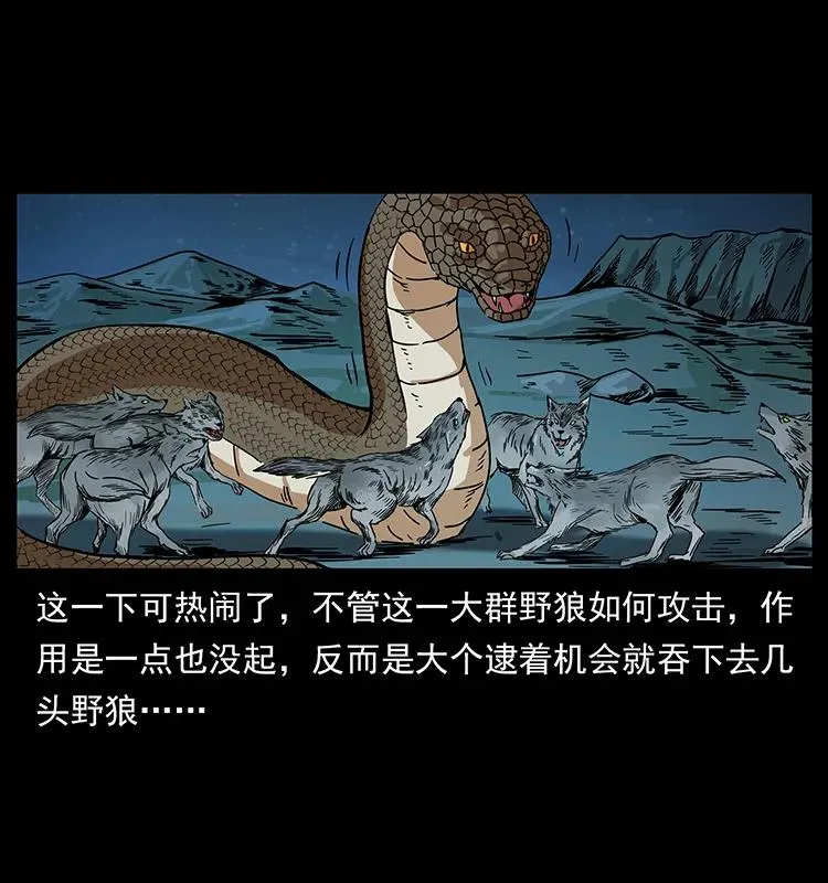 212 草原深处 第42页