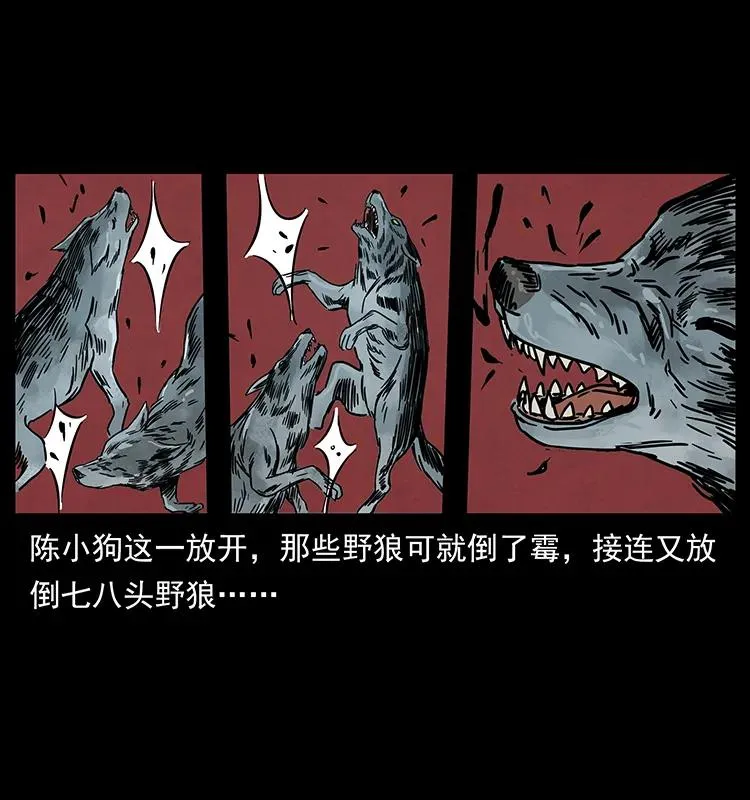 212 草原深处 第47页