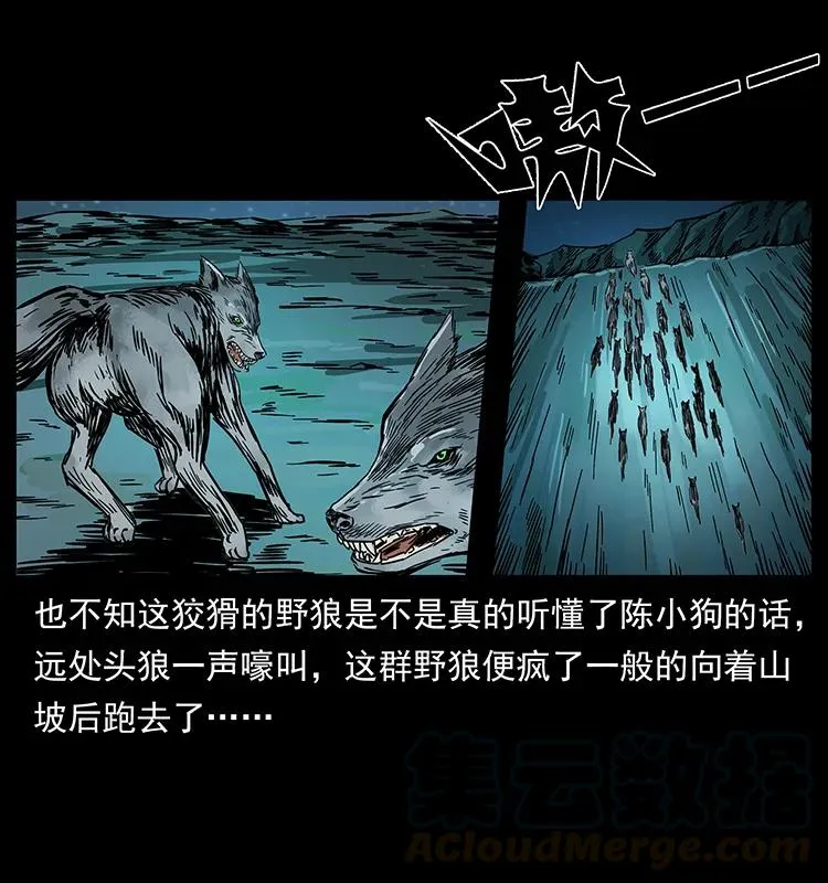 212 草原深处 第49页