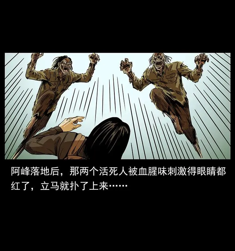 216 守墓恶灵 第80页