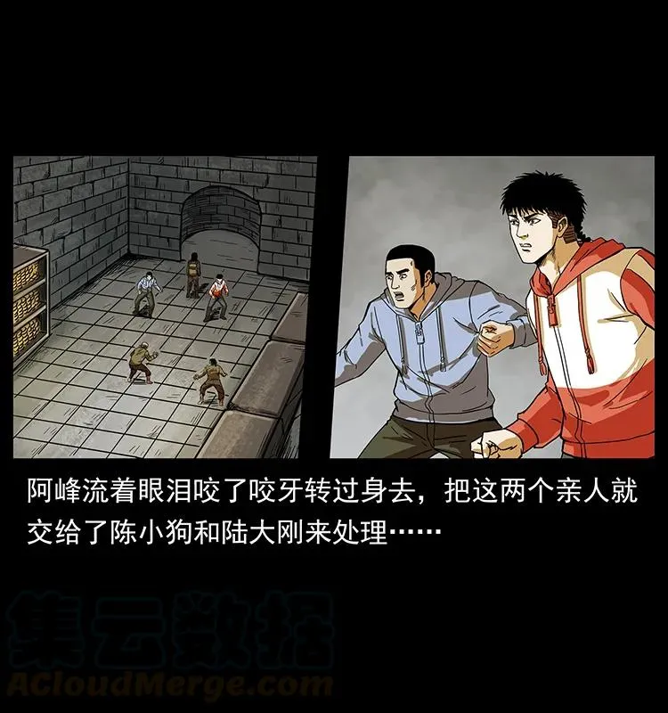 216 守墓恶灵 第85页