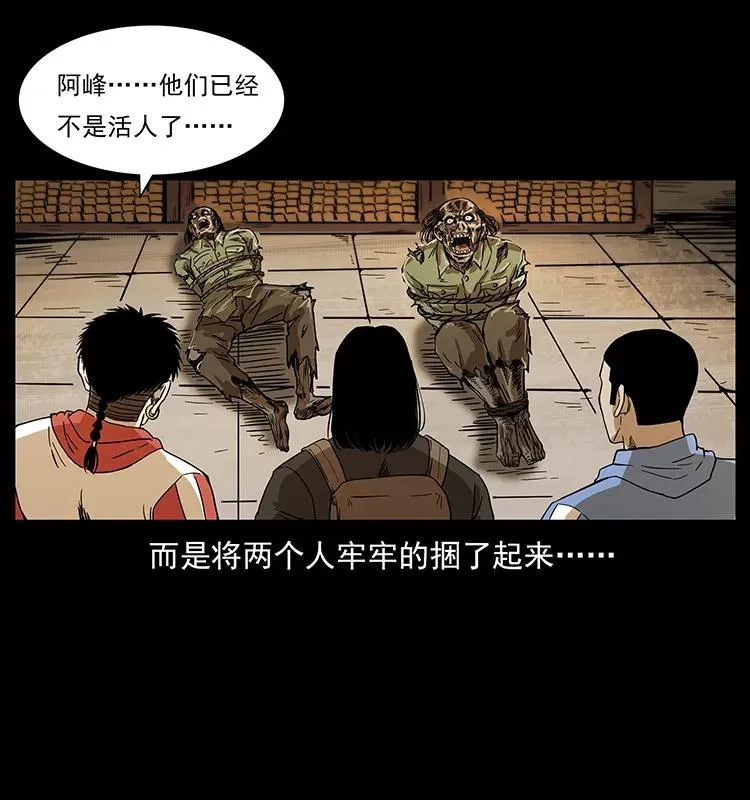 217 最可怕的危机 第3页
