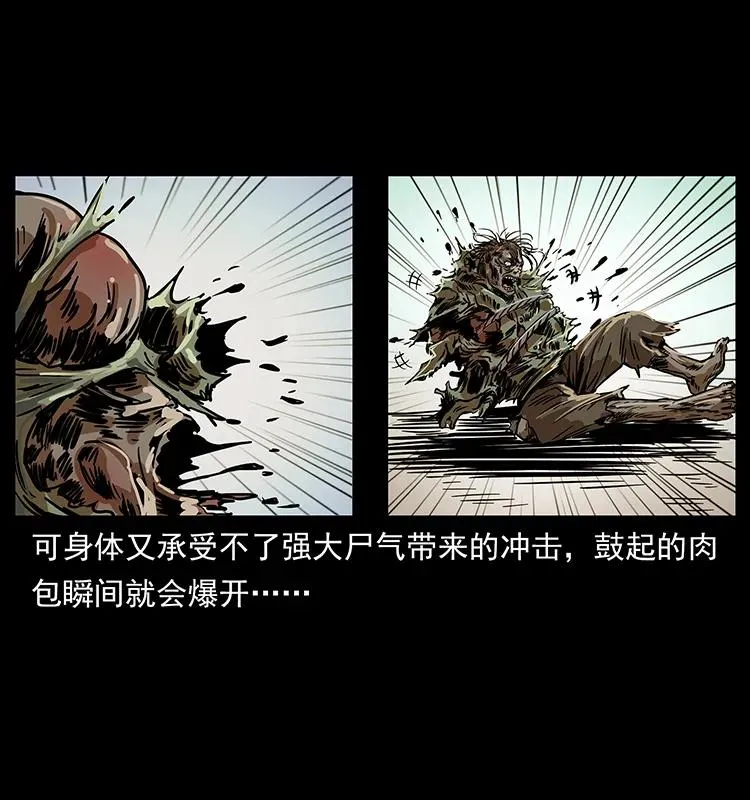 217 最可怕的危机 第11页