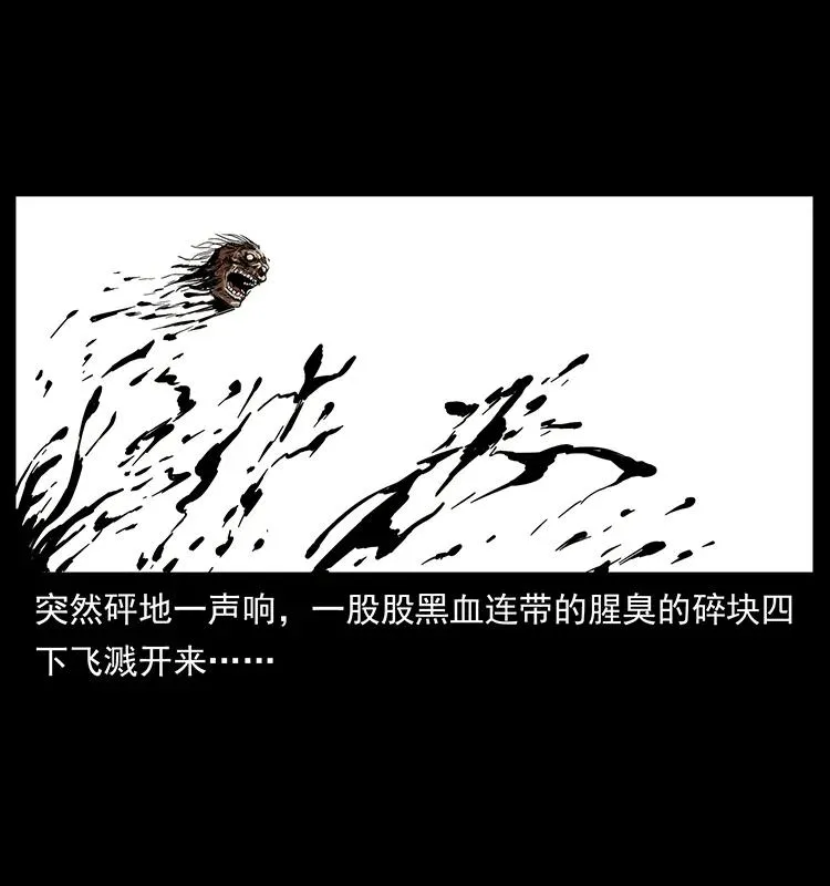 217 最可怕的危机 第14页