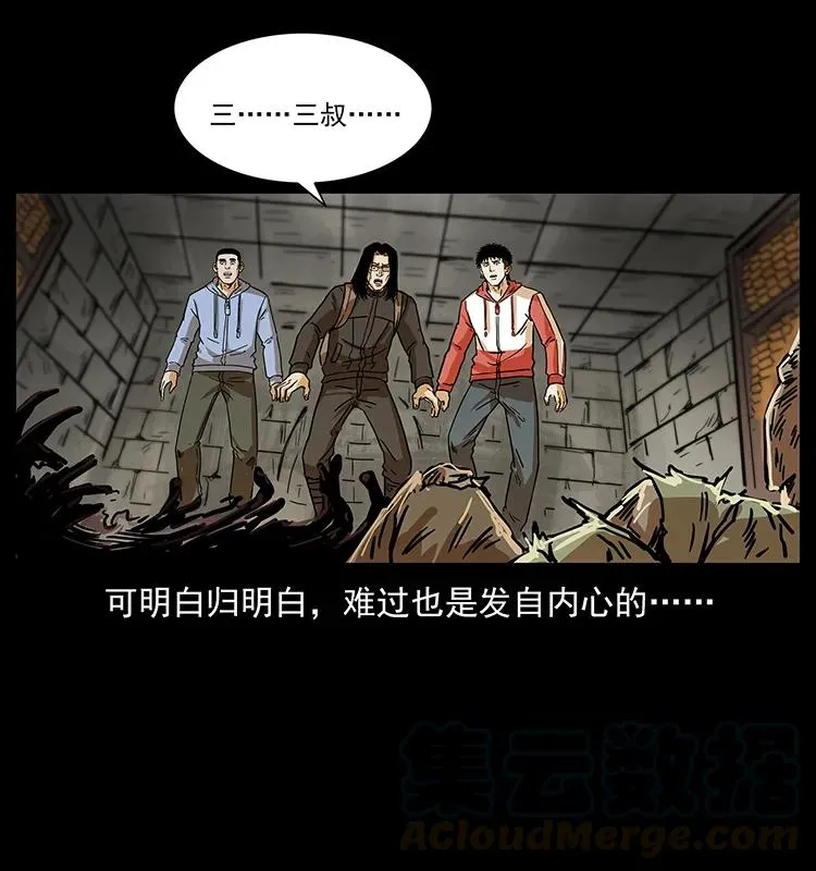 217 最可怕的危机 第17页