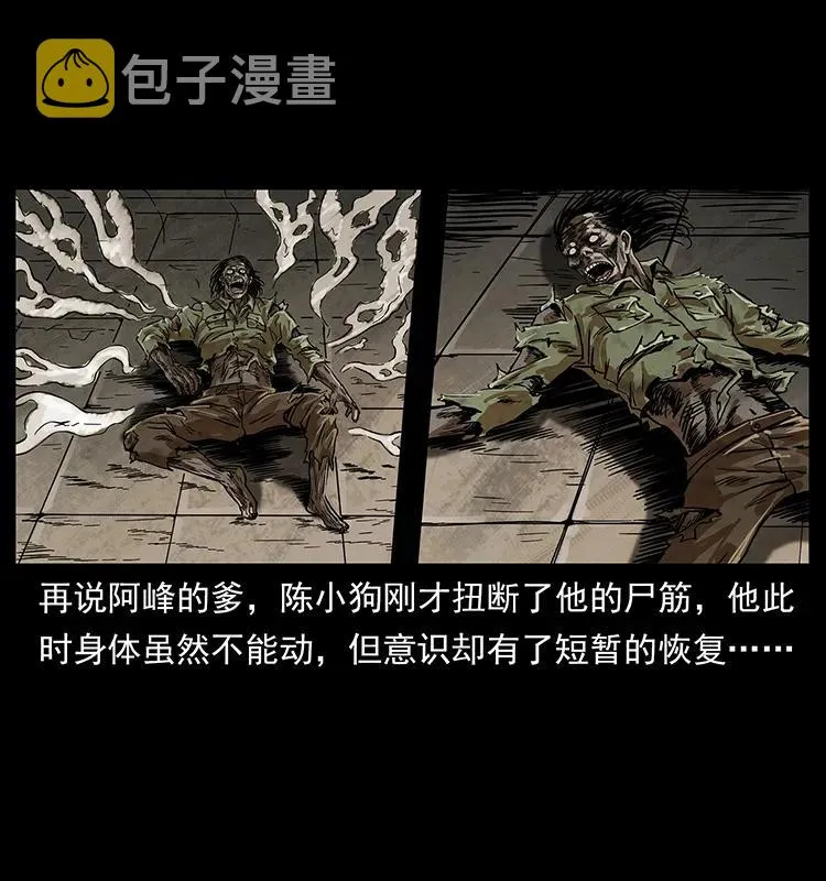 217 最可怕的危机 第18页