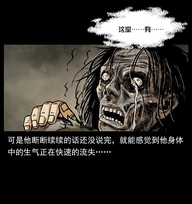 217 最可怕的危机 第30页