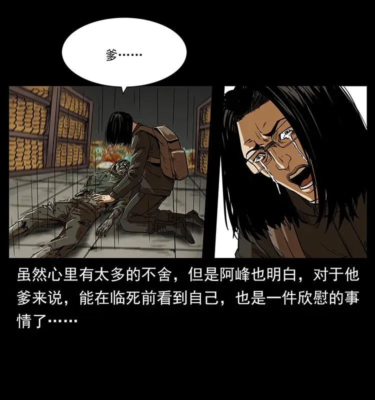 217 最可怕的危机 第34页