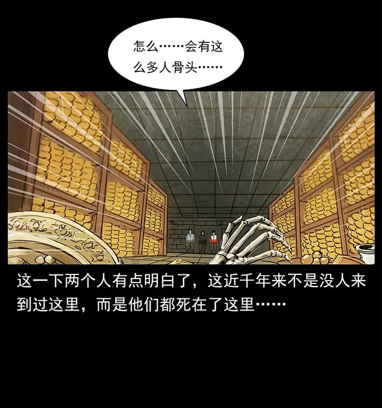 217 最可怕的危机 第46页