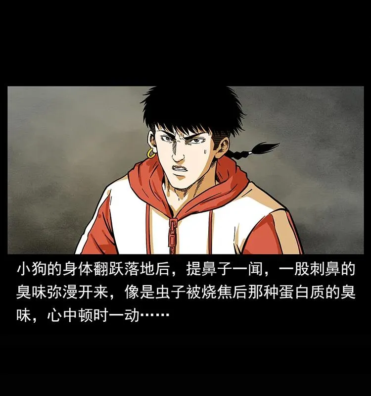 218 阴山极柱 第35页