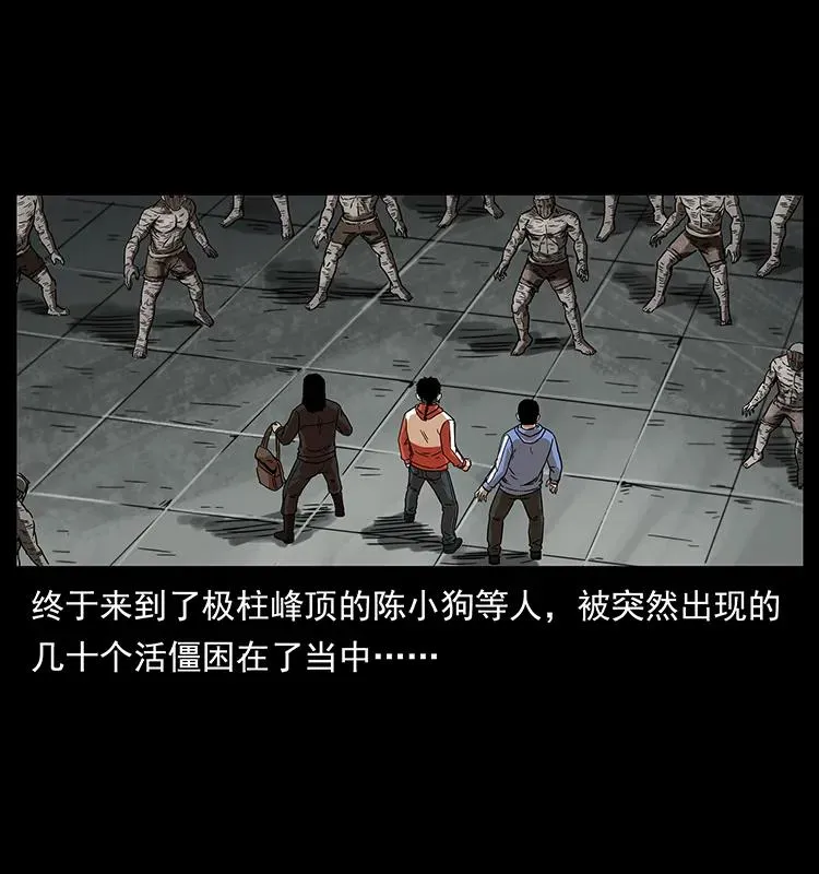 219 蚩龙抬棺 第2页