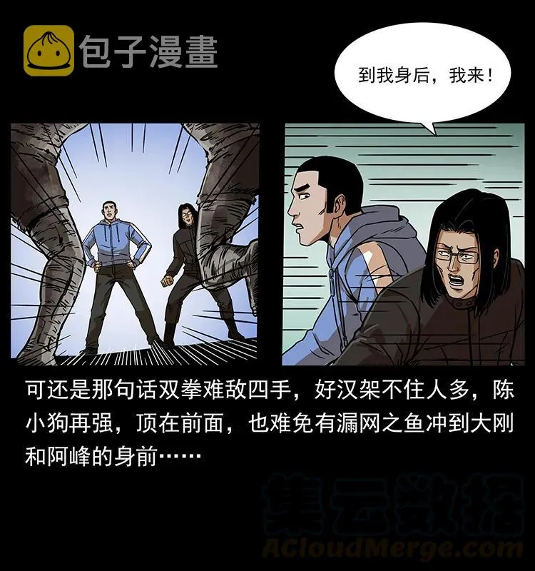 219 蚩龙抬棺 第5页