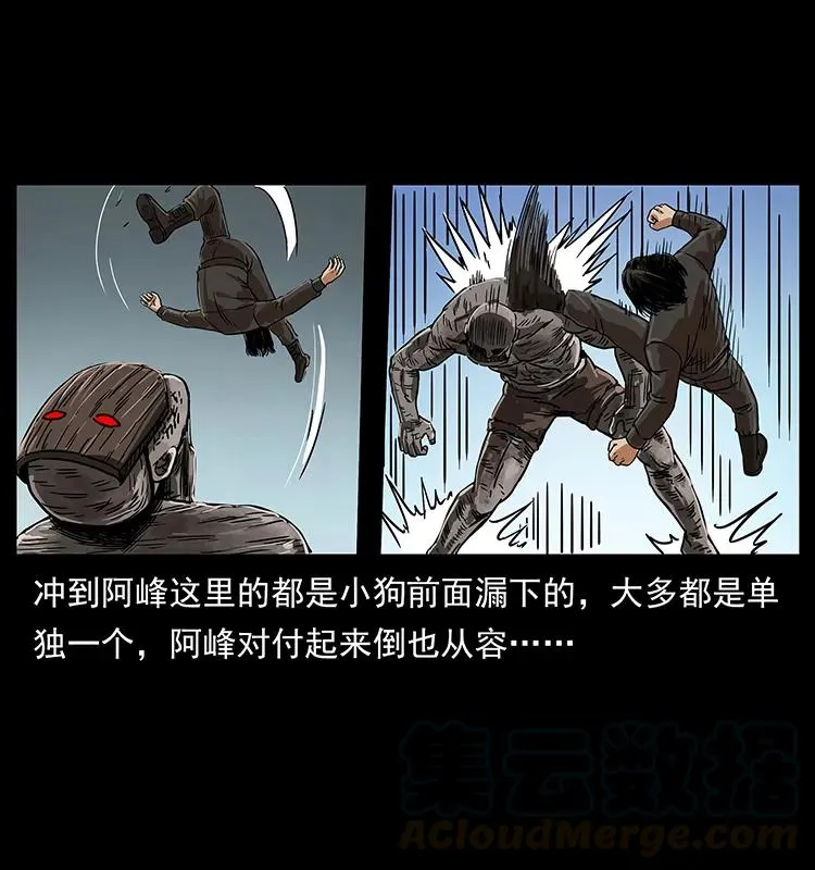 219 蚩龙抬棺 第9页