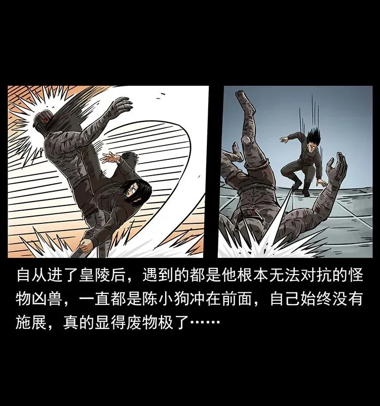 219 蚩龙抬棺 第11页