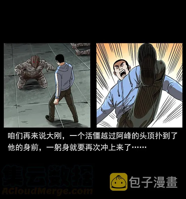 219 蚩龙抬棺 第17页