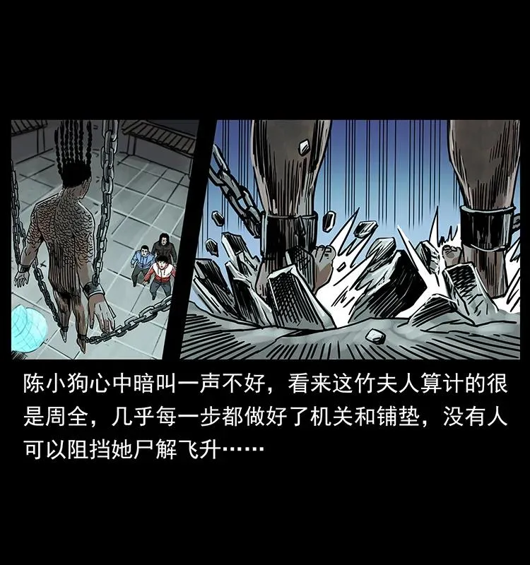 219 蚩龙抬棺 第43页
