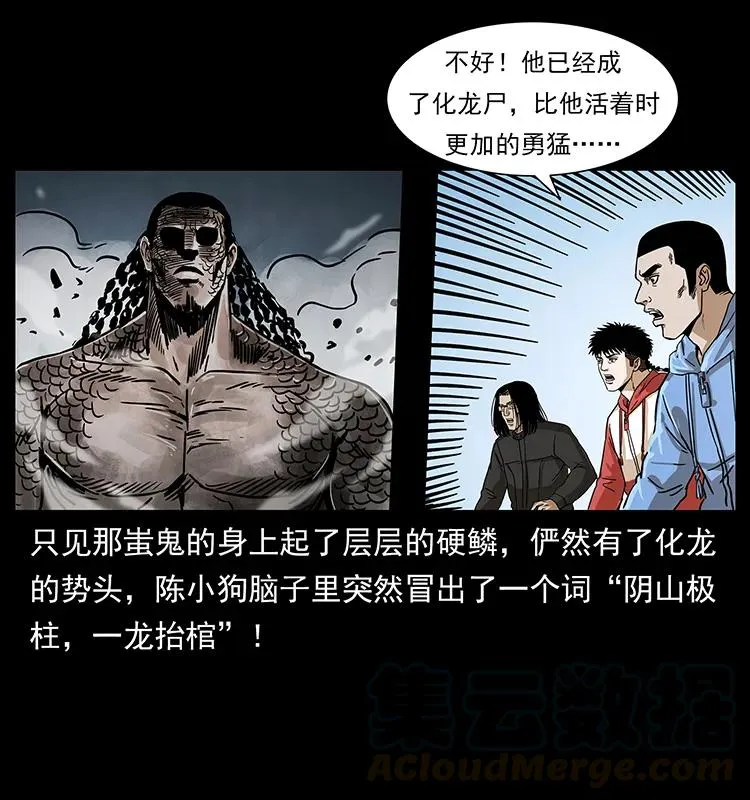 219 蚩龙抬棺 第45页