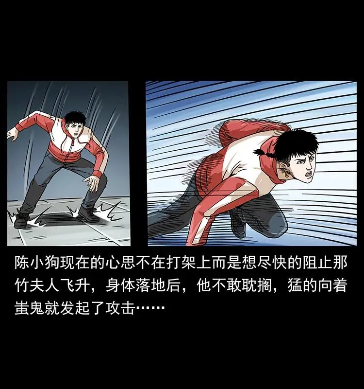 219 蚩龙抬棺 第51页