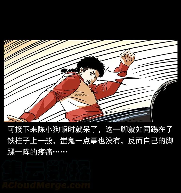 219 蚩龙抬棺 第53页