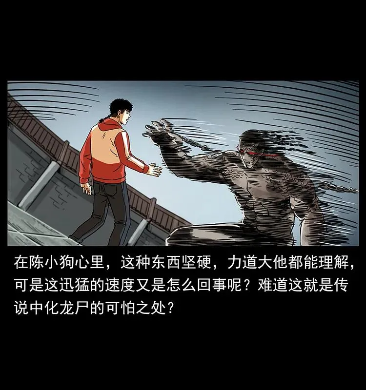 219 蚩龙抬棺 第56页