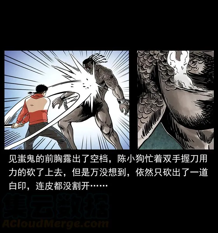 219 蚩龙抬棺 第61页