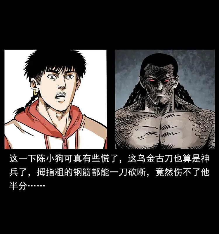 219 蚩龙抬棺 第62页