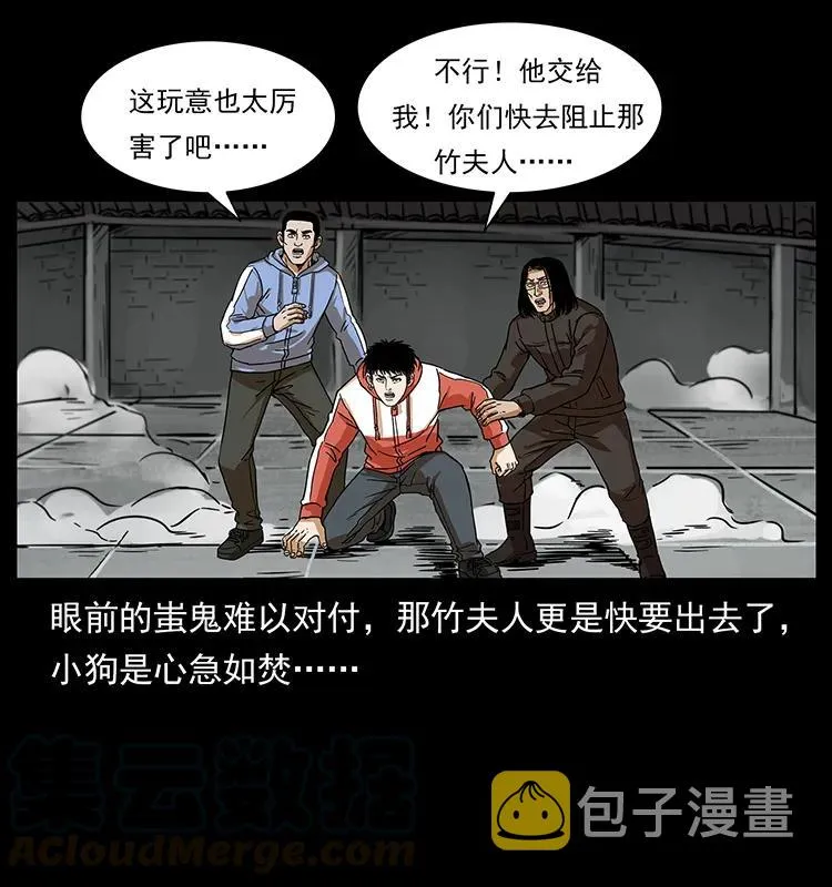 219 蚩龙抬棺 第65页