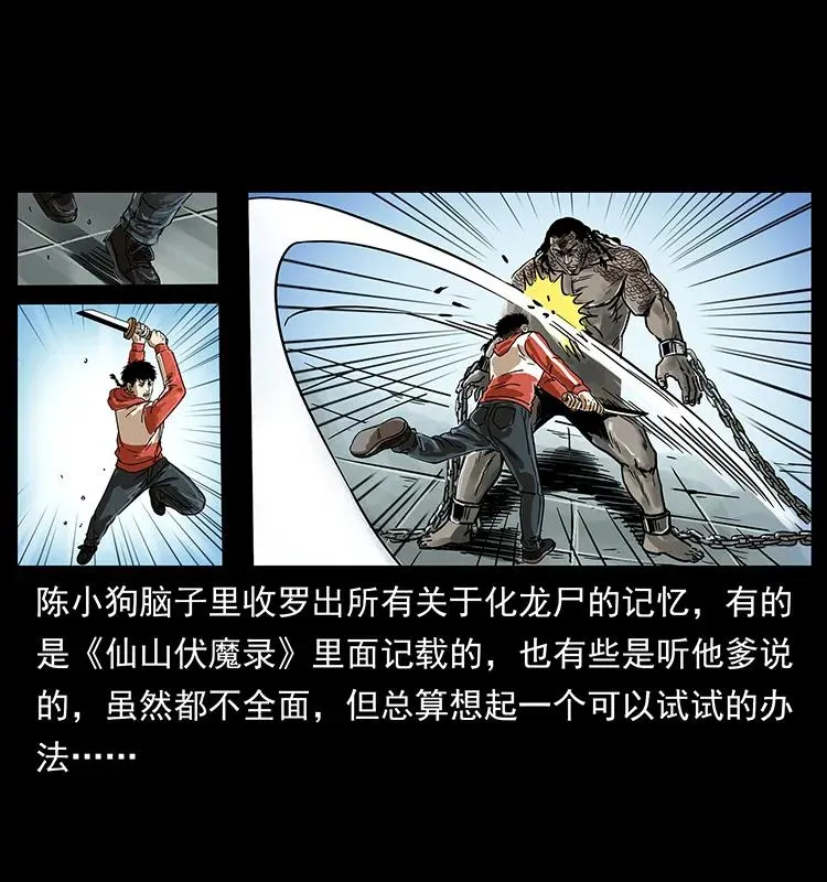 219 蚩龙抬棺 第68页