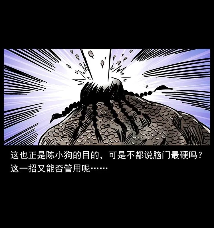 219 蚩龙抬棺 第71页