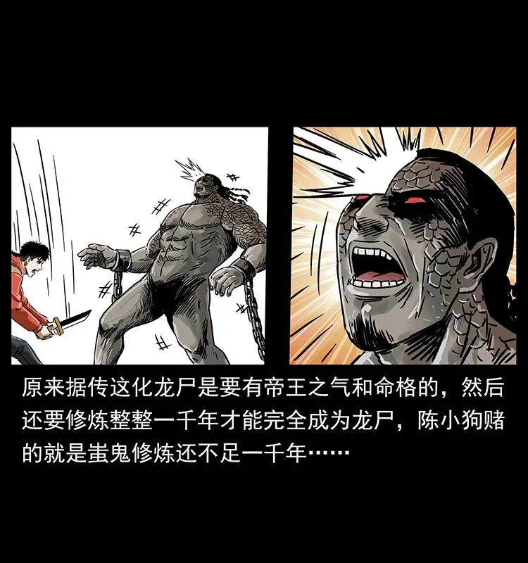 219 蚩龙抬棺 第72页