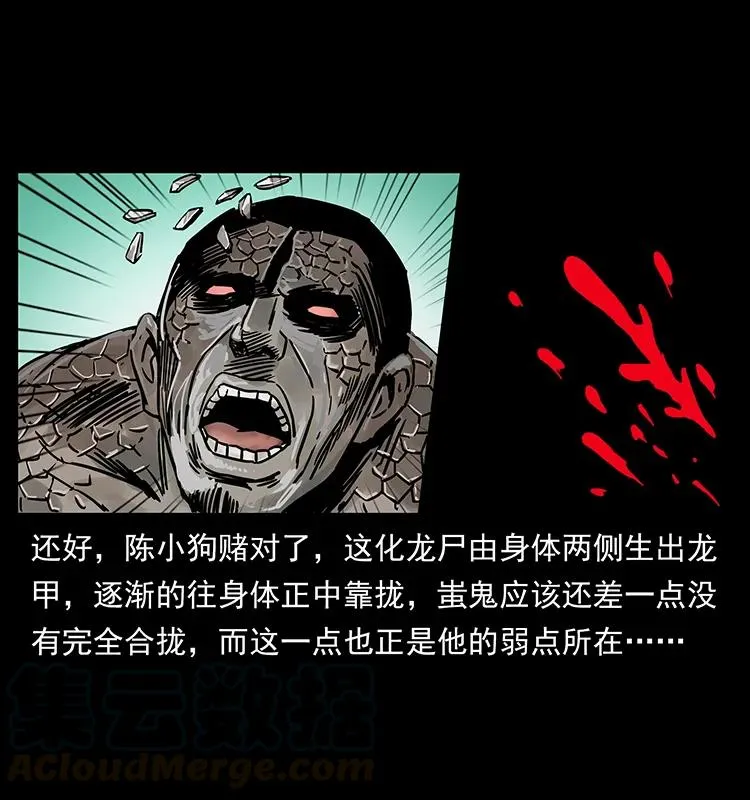 219 蚩龙抬棺 第73页