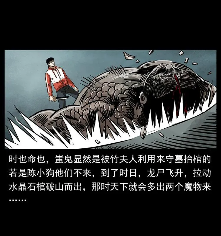 219 蚩龙抬棺 第74页