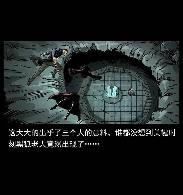 219 蚩龙抬棺 第82页