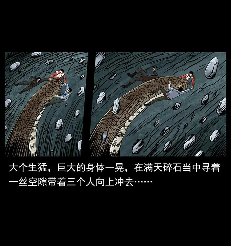 220 漠北白狼王 第34页