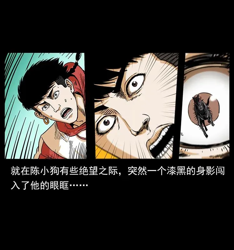 220 漠北白狼王 第50页