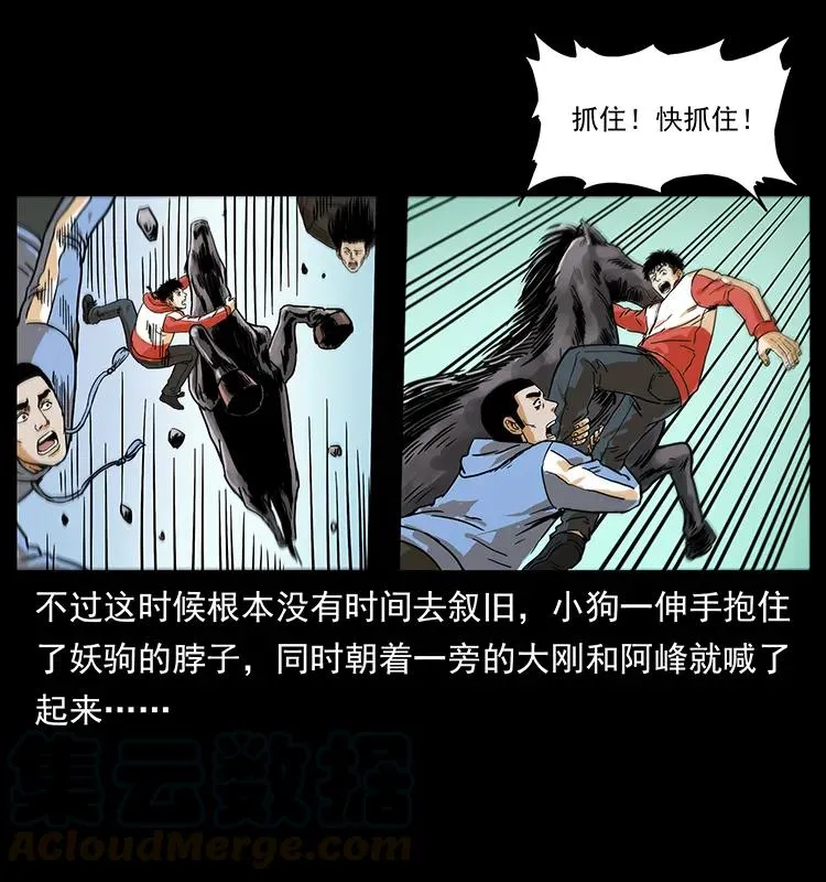 220 漠北白狼王 第53页