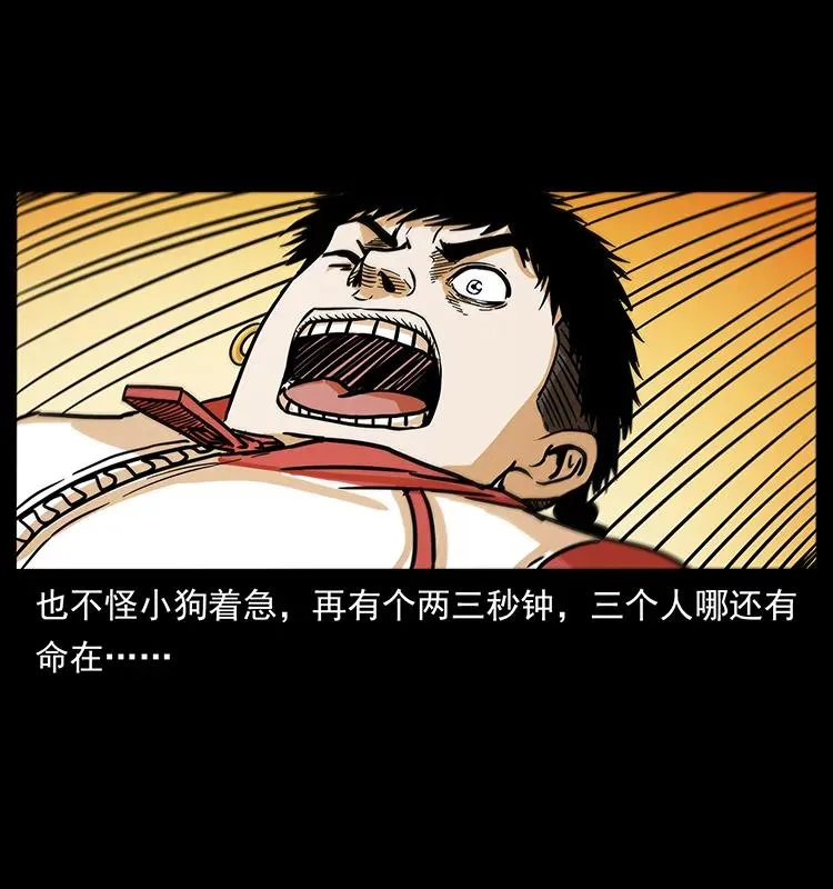 220 漠北白狼王 第54页