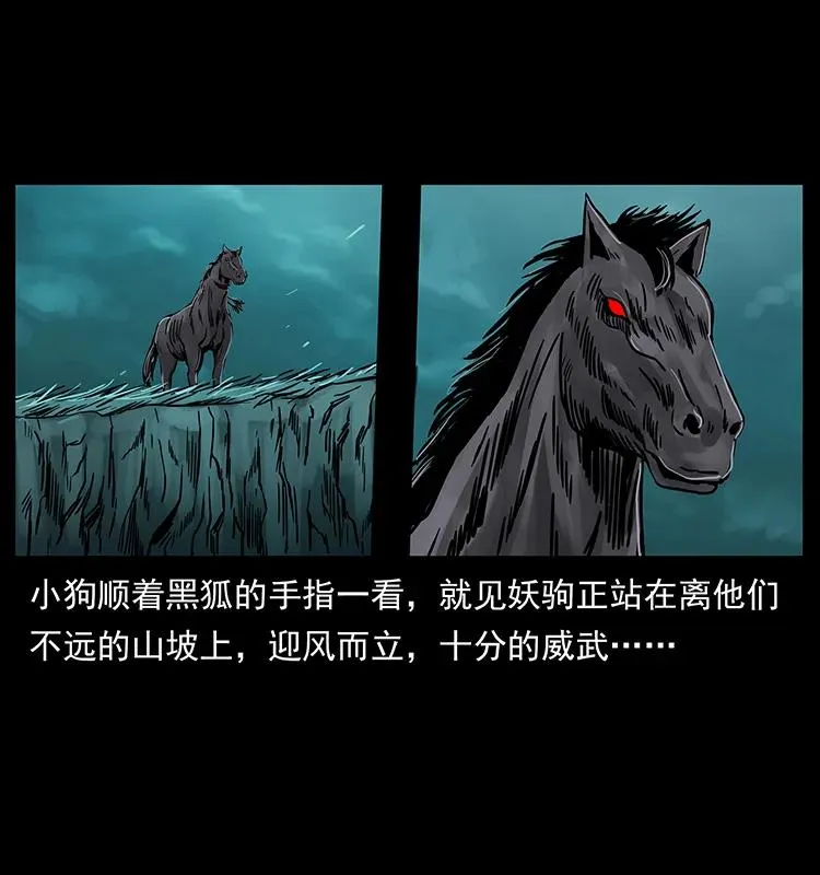220 漠北白狼王 第72页