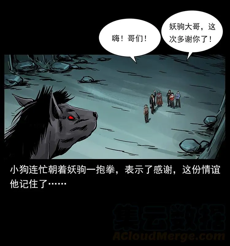 220 漠北白狼王 第73页