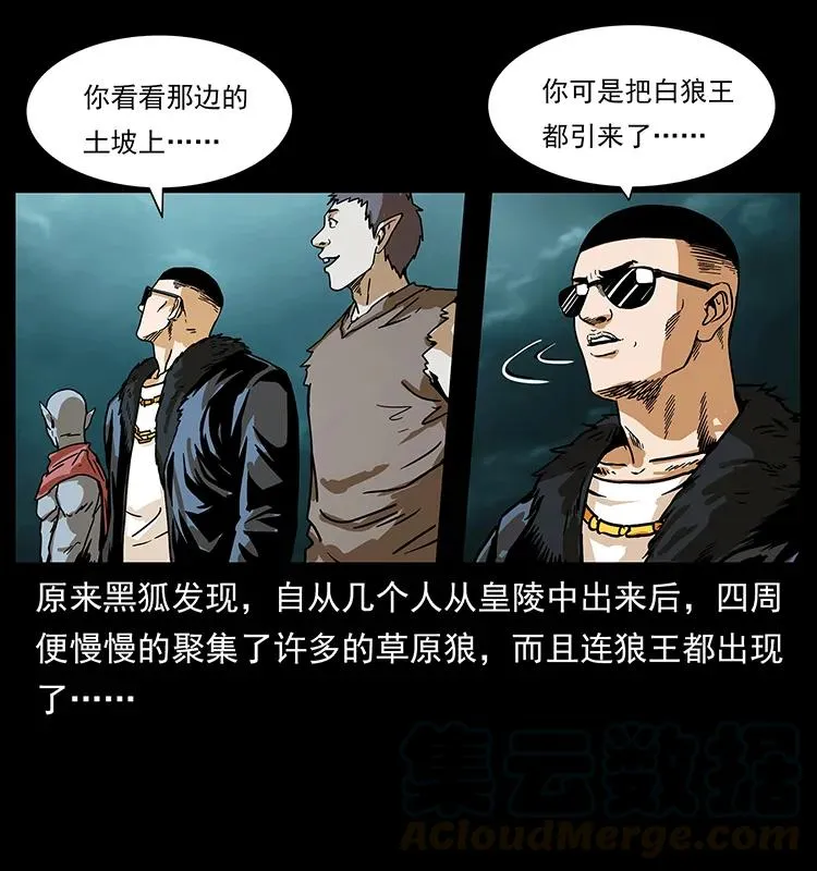 220 漠北白狼王 第77页