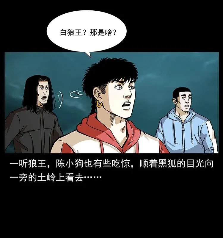 220 漠北白狼王 第78页